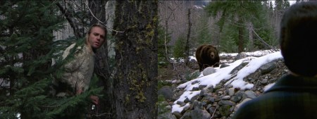 3-19-montage-bear.001.jpg.001