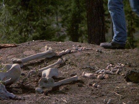 3-20-jesse-bones-feet