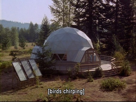 4-6-blog-birds-chirping2