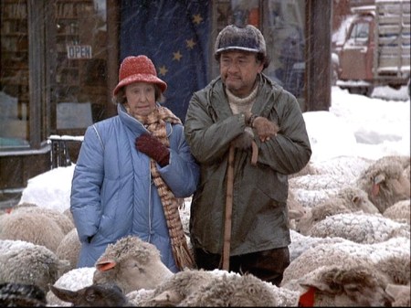 4-16-enrique-ruth-anne-sheep