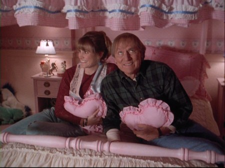 4-20-holling-shelly-pillows